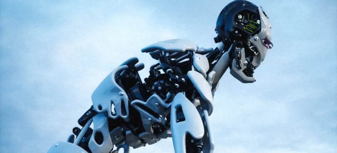 AI Solution Development